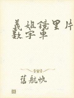 义姐镜里片微博数字车