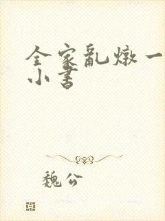 全家乱炖一锅烩小书