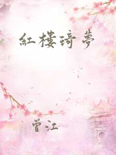 红楼琦梦