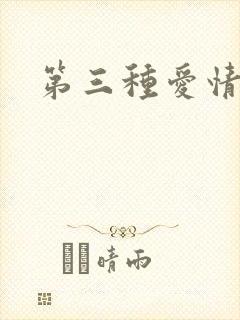 第三种爱情续集