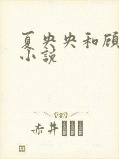 夏央央和顾祁琛小说