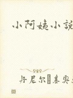 小阿姨小说