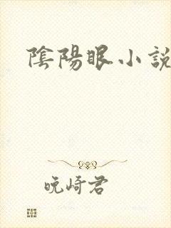 阴阳眼小说