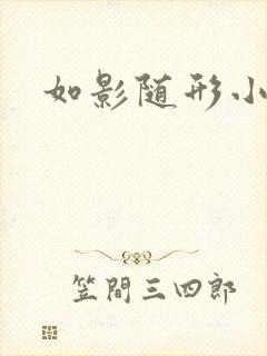 如影随形小说