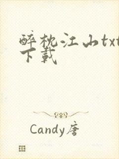 醉枕江山txt下载