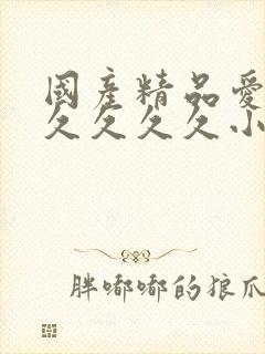 国产精品爱久久久久久久小说