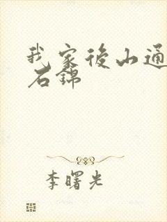 我家后山通仙界石锦