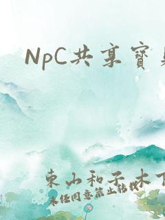 NpC共享宝贝