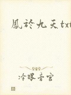 凤于九天txt