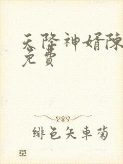 天降神婿陈黄皮免费