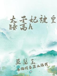 太子妃被皇上强睡高h