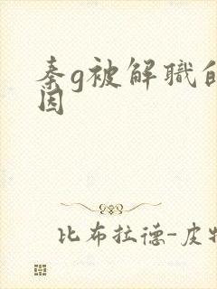 秦g被解职的原因