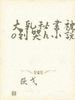 大乳秘书被cao到哭h小说