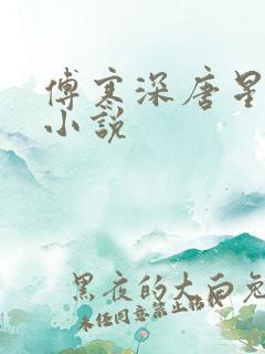 傅寒深唐星挽的小说