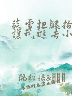 苏雪把腿抬起来让我进去小说