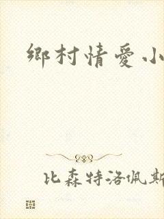 乡村情爱小说