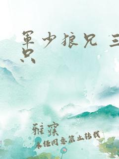 军少狼兄 三两只