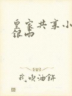 皇家共享小公主银雨