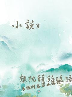 小说x