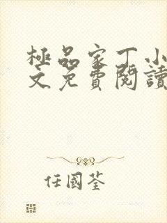 极品家丁小说全文免费阅读