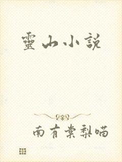 灵山小说