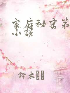 家庭秘密第3集小说