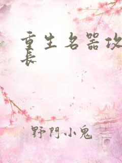 重生名器攻略兄长