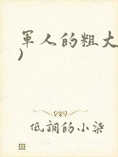 军人的粗大(h)