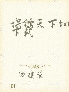 保镖天下txt下载