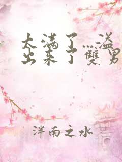 太满了...溢出来了双男动漫