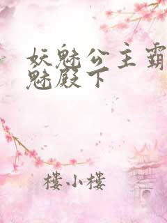 妖魅公主霸上邪魅殿下