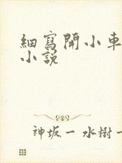 细写开小车车的小说