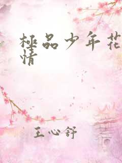 极品少年花都燃情