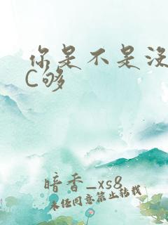 你是不是没有被C够