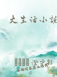 大生活小说