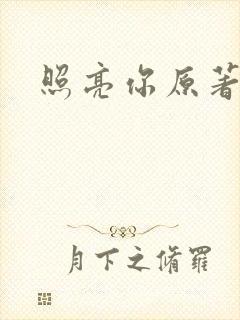 照亮你原著小说