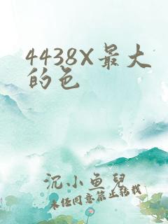 4438X最大的色