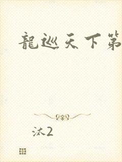 龙巡天下第四部