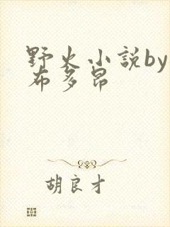 野火小说by夏布多昂