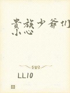 贵族少爷们 请小心