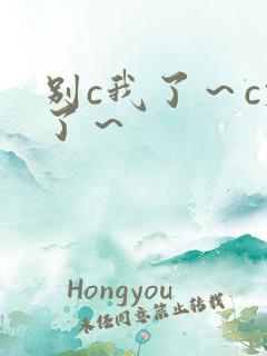 别c我了～c烂了～