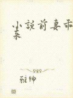 小说前妻乖乖回来