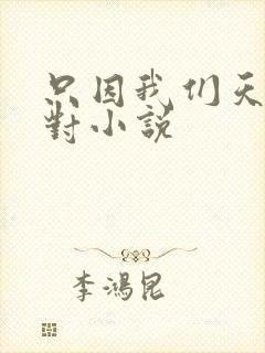 只因我们天生一对小说