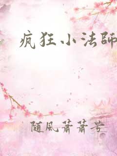 疯狂小法师