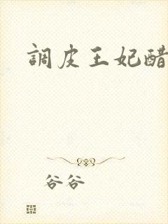 调皮王妃醋王爷