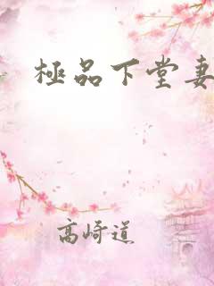 极品下堂妻