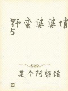 野蛮婆婆俏媳妇5