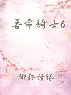吾命骑士6