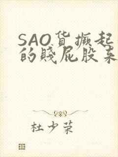 SAO货撅起你的贱屁股来