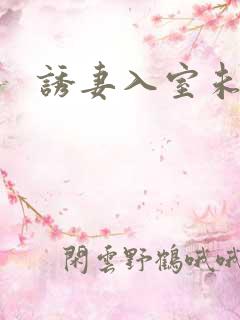 诱妻入室未删减